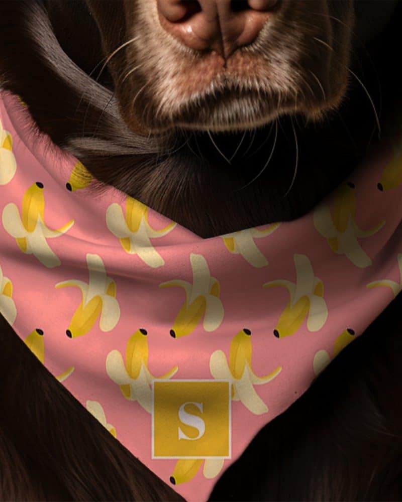 Brown dog wearing a pink bandana with a banana pattern and a gold initial S.