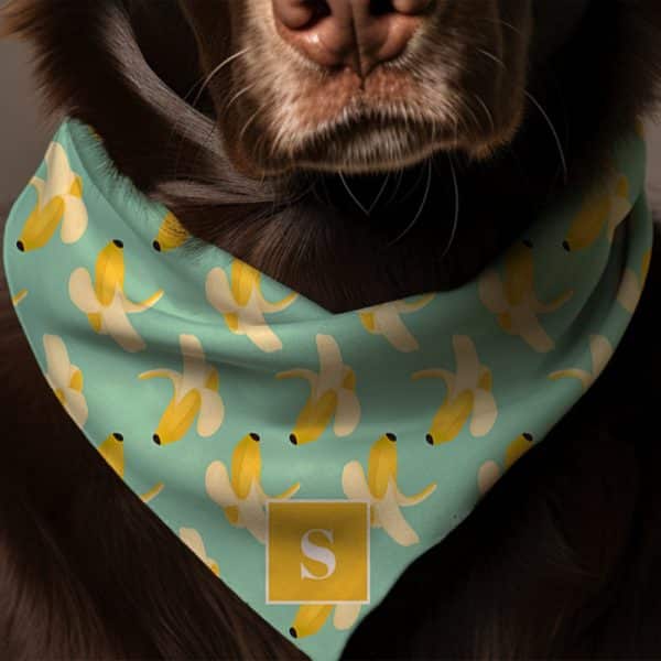 Brown Dog Wearing A Teal Bandana With A Repeating Banana Pattern And A Gold Initial S.