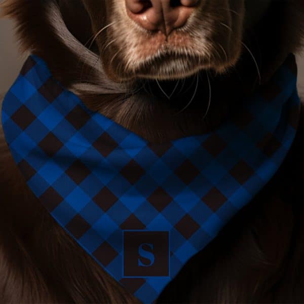 Brown Dog Wearing A Blue And Black Plaid Bandana With A White Initial S.