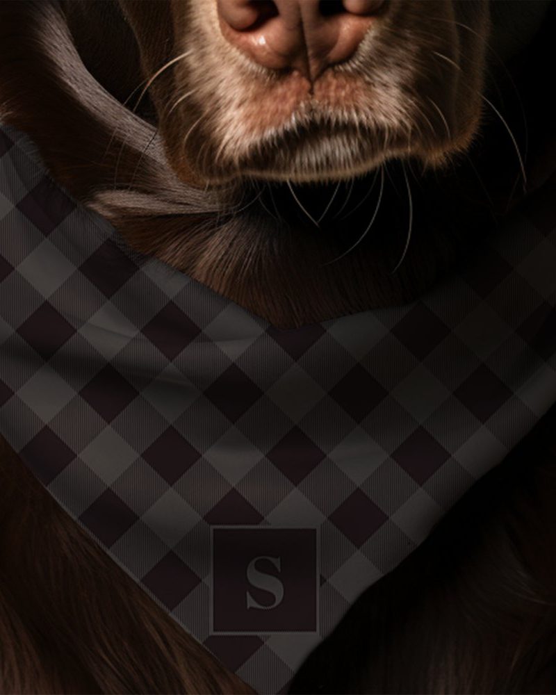 Brown dog wearing a dark gray and black plaid bandana with a monogrammed S.