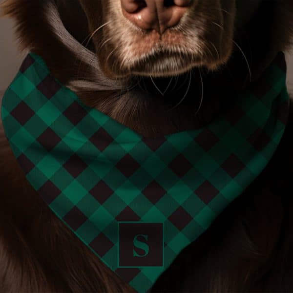Dark Brown Dog Wearing A Green And Black Plaid Bandana With A Dark Green Initial S.