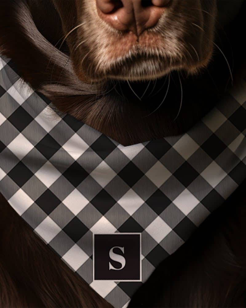 Brown dog wearing a black and white checkered bandana with a black square initial S.