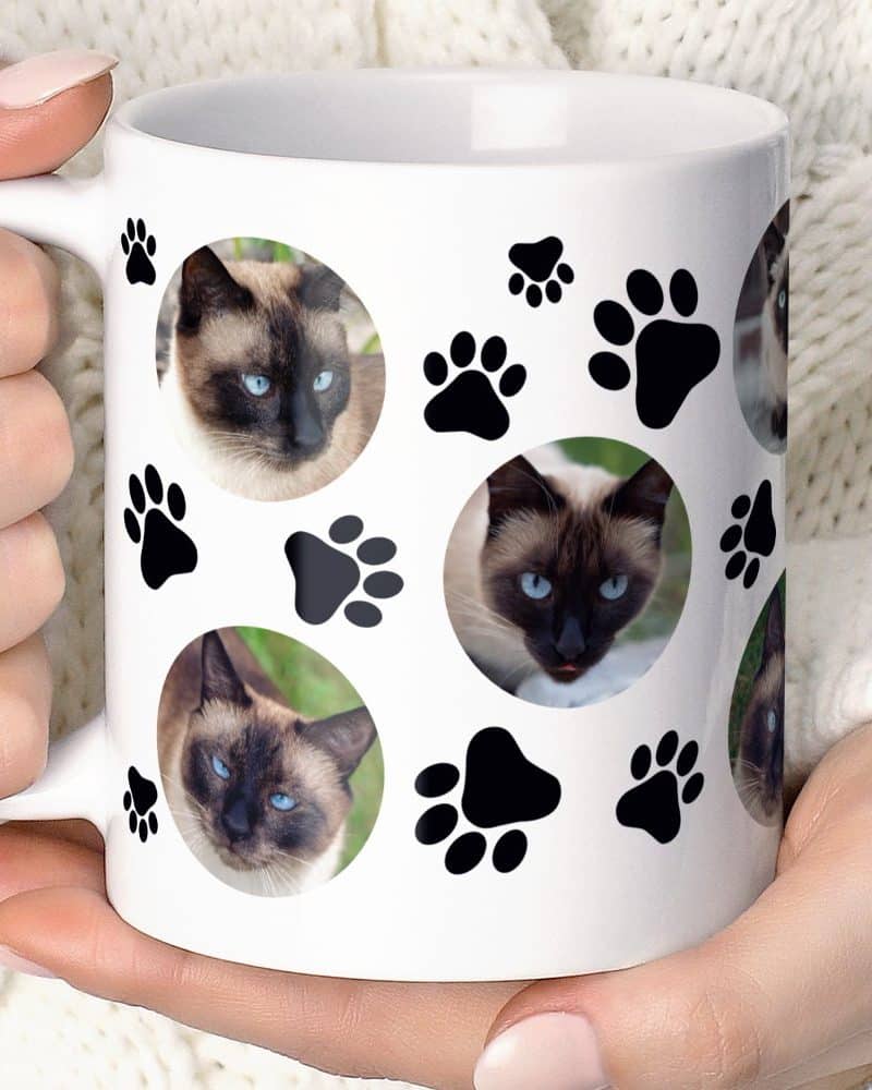 White coffee mug with paw prints and multiple photos of a Siamese cat.