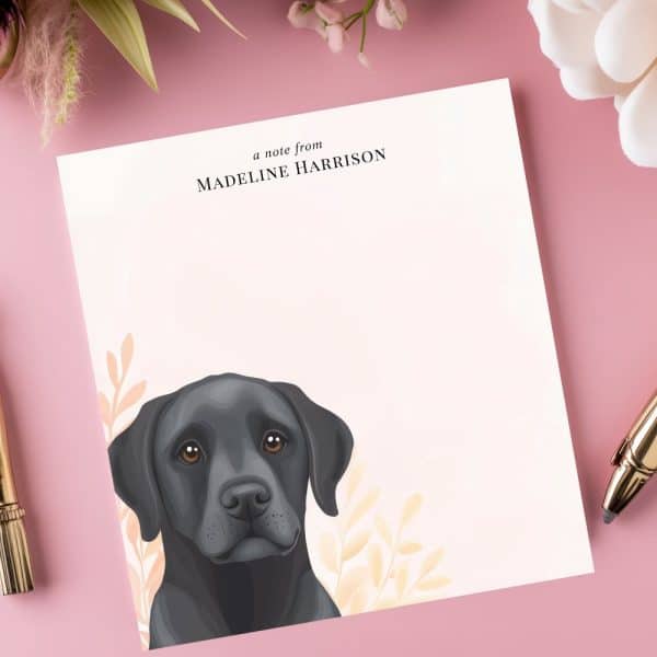 Personalized Stationery Featuring A Black Labrador Retriever'S Head And Shoulders.