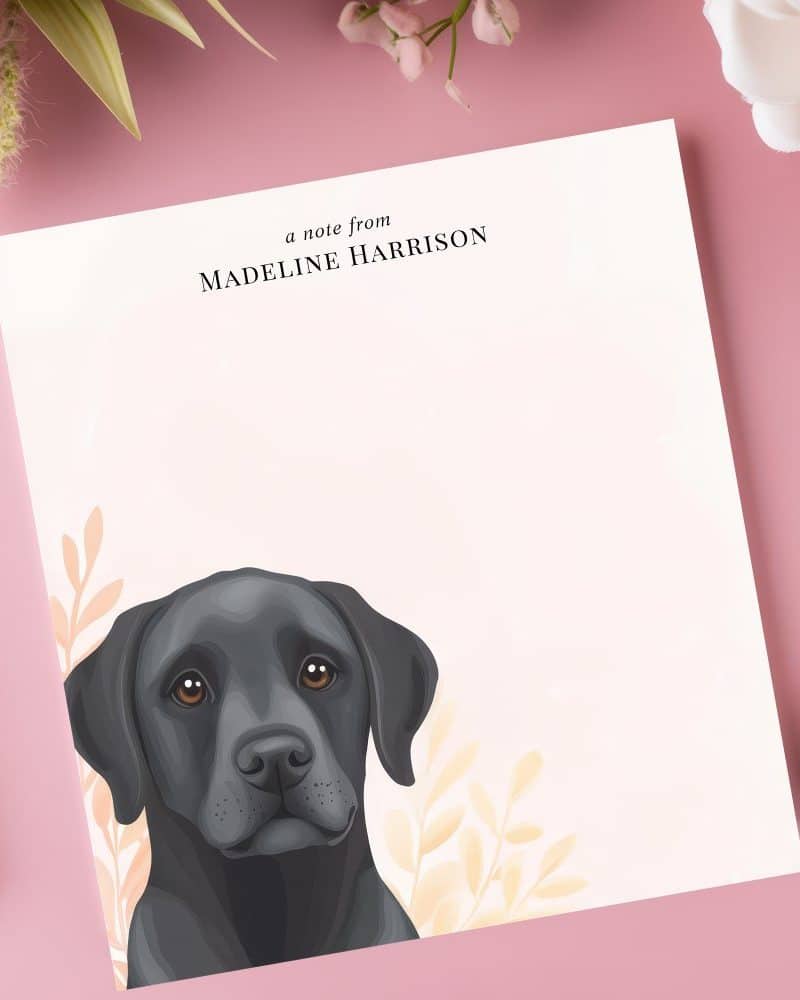 Personalized stationery featuring a black Labrador Retriever's head and shoulders.