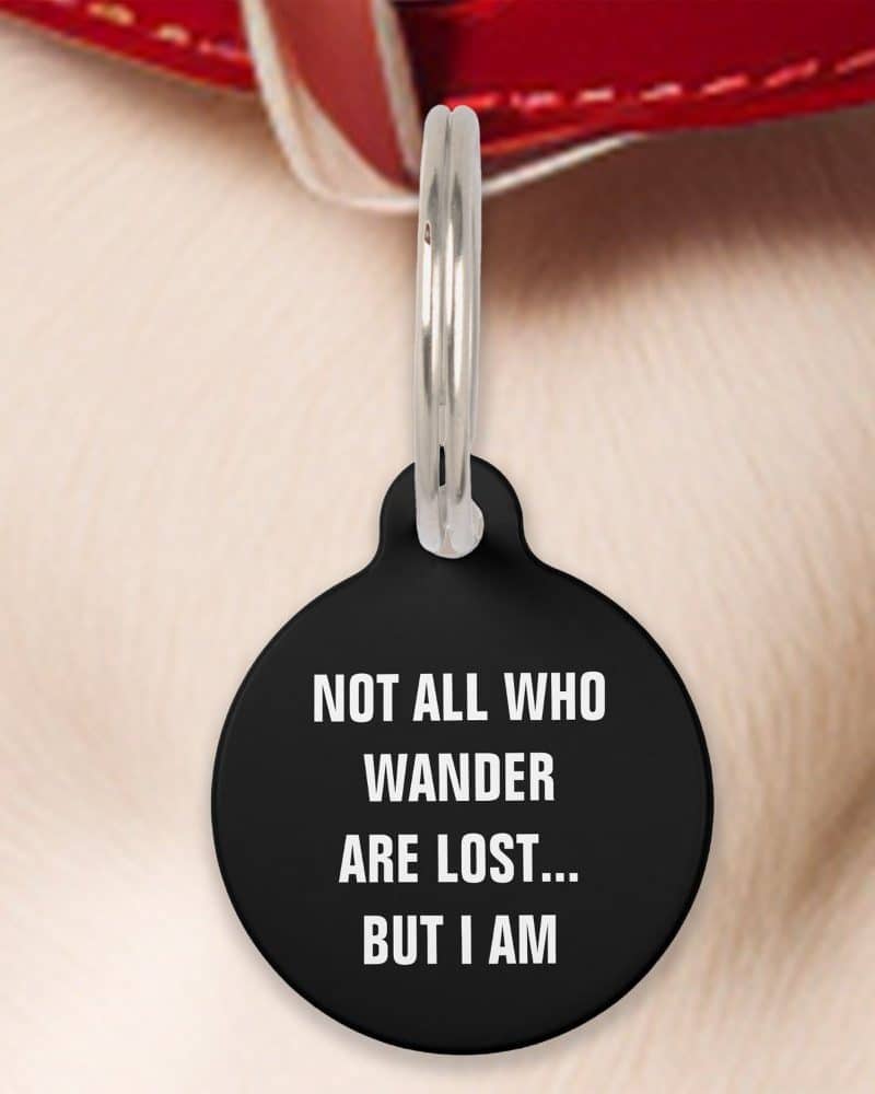 Black pet ID tag with the text Not all who wander are lost... but I am.