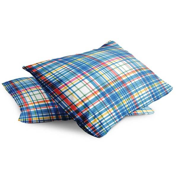 Two Blue Plaid Pillows.