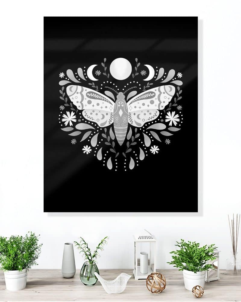 A gray moth with floral design centered on a black background.
