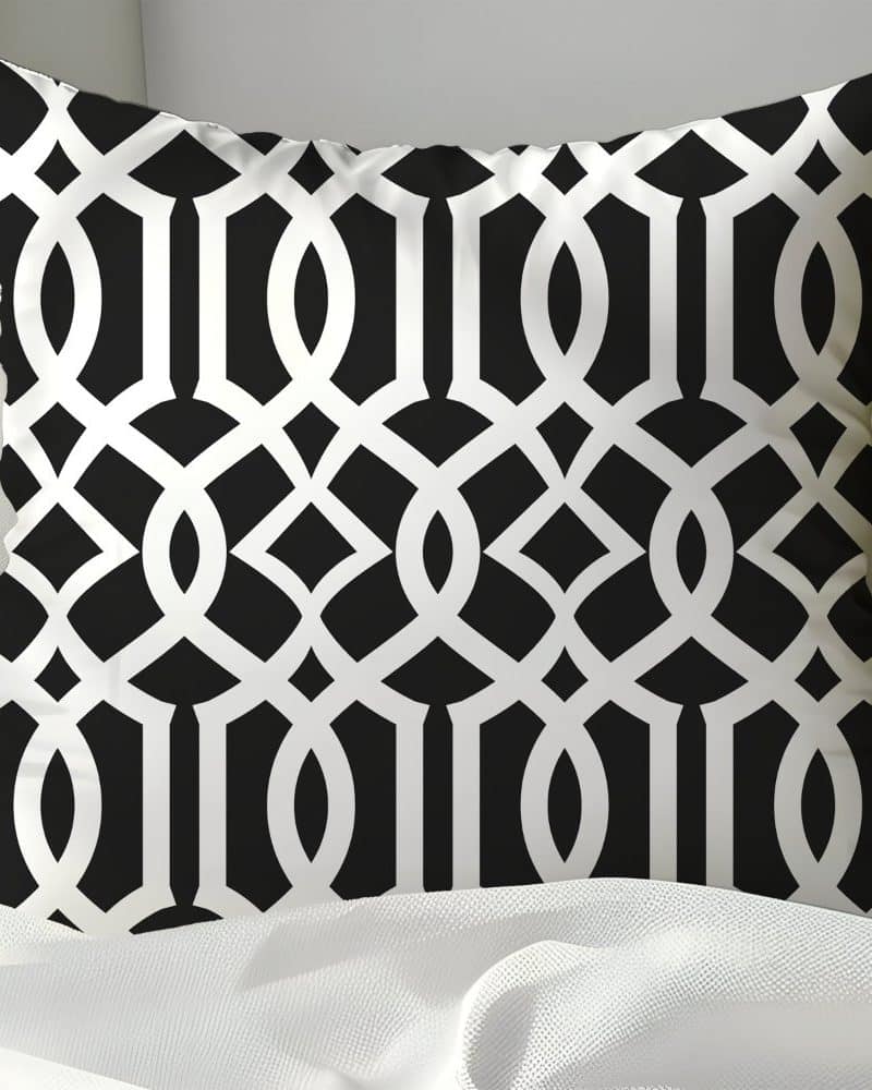 Black and white geometric patterned pillow.