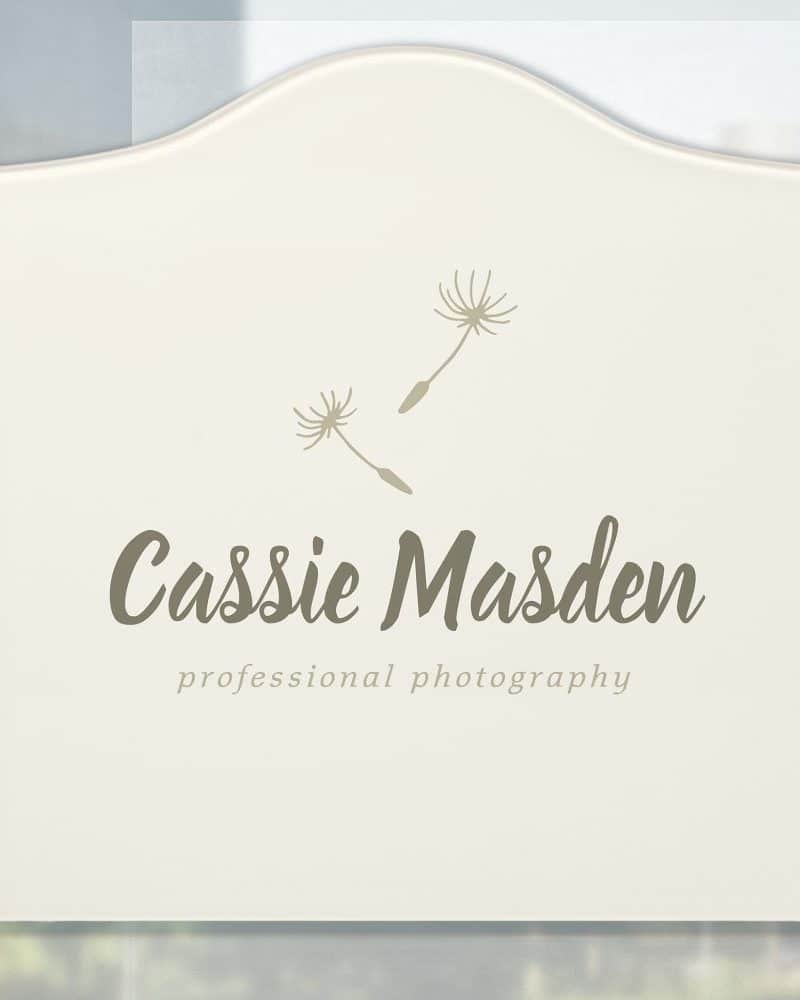 Off-white sign with arched top, featuring the name Cassie Madsen and professional photography underneath, with two small dandelion seed designs above the text.