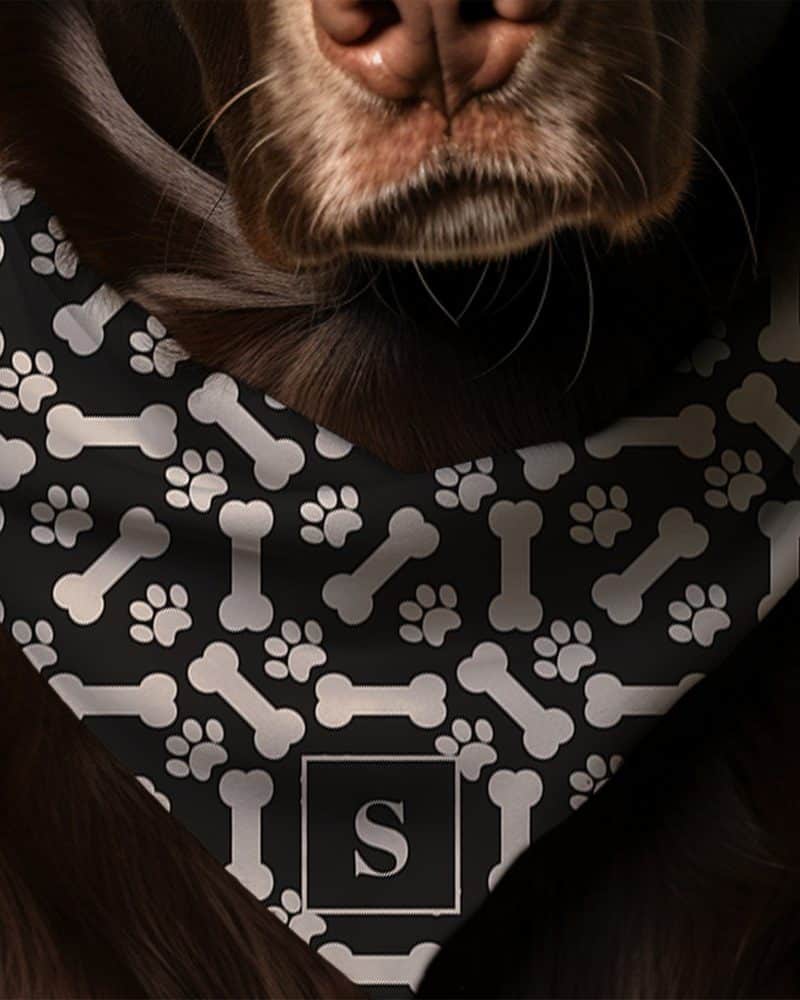 Brown dog wearing a black bandana with a bone and paw print pattern and a monogrammed S.