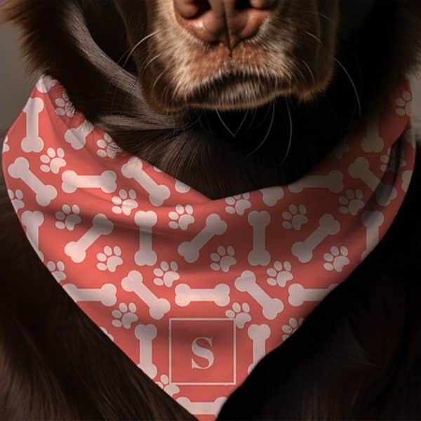 Brown Dog Wearing A Coral Bandana With A Bone And Paw Print Pattern And A Monogrammed S.