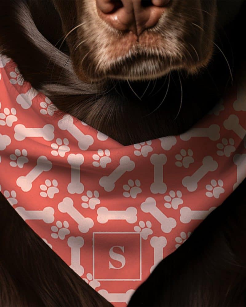 Brown dog wearing a coral bandana with a bone and paw print pattern and a monogrammed S.