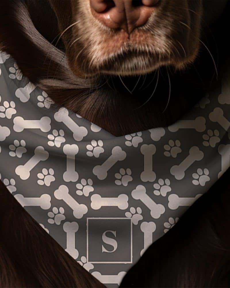 Brown dog wearing a gray bandana with a bone and paw print pattern and a monogrammed initial S.