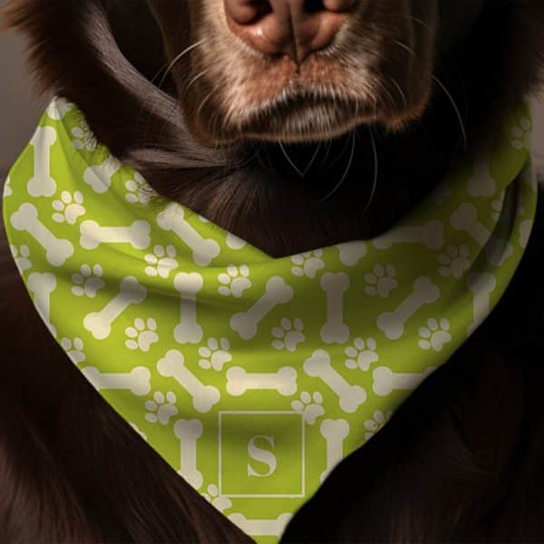 Brown Dog Wearing A Lime Green Bandana With A Bone And Paw Print Pattern And A Monogrammed Letter S.