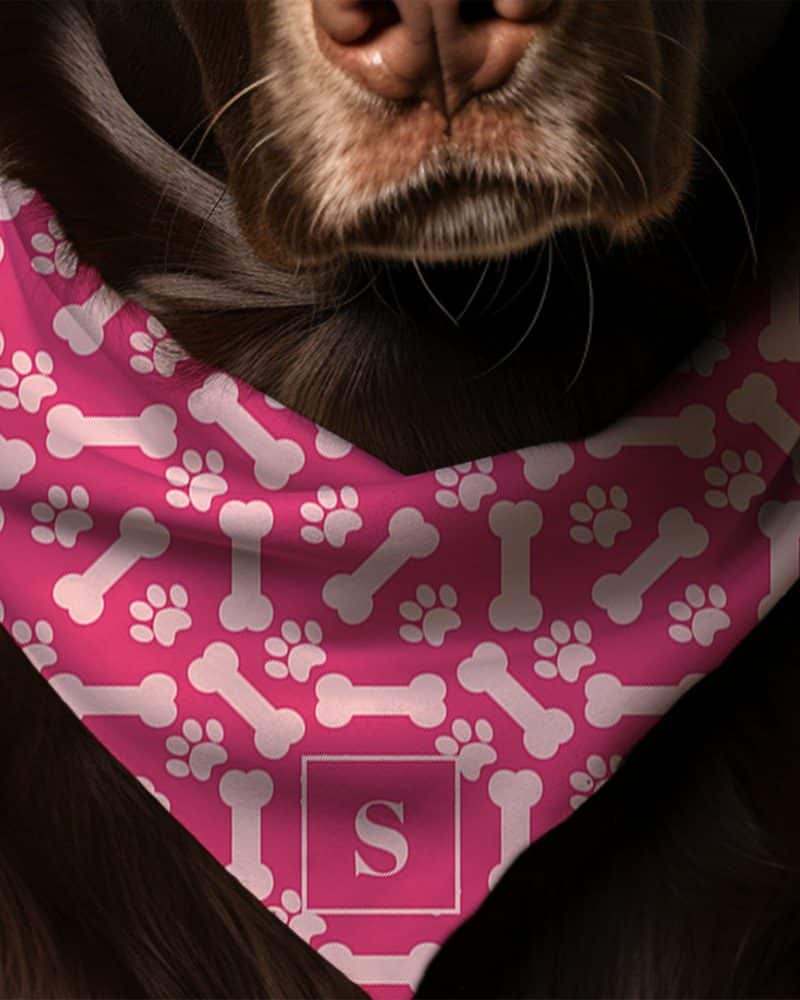 Brown dog wearing a pink bandana with a bone and paw print pattern and a monogrammed S.