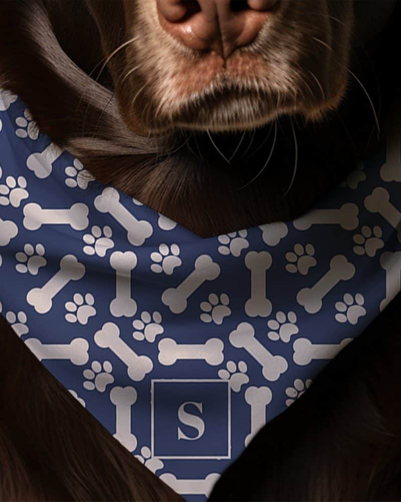 Dark brown dog wearing a navy blue bandana with a bone and paw print pattern and a monogrammed initial S.