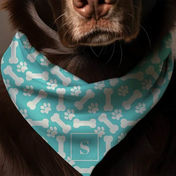 Brown Dog Wearing A Teal Bandana With White Bone And Paw Print Pattern And A White Initial S.
