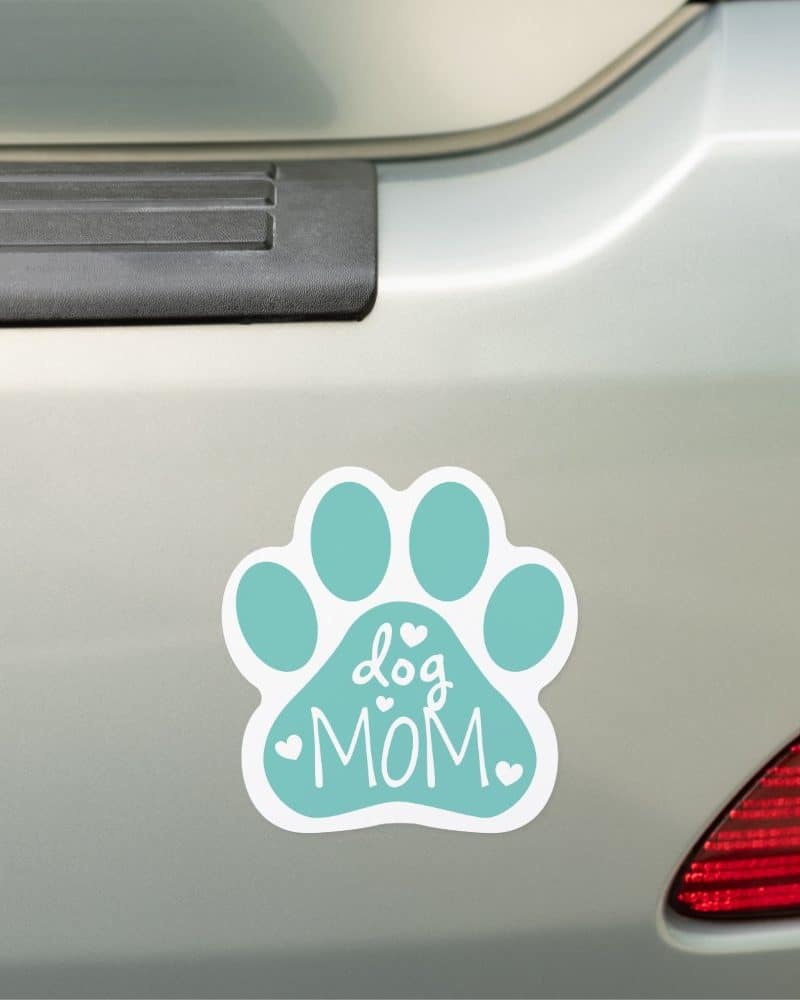 A teal paw print magnet on a car bumper, reading Dog Mom.