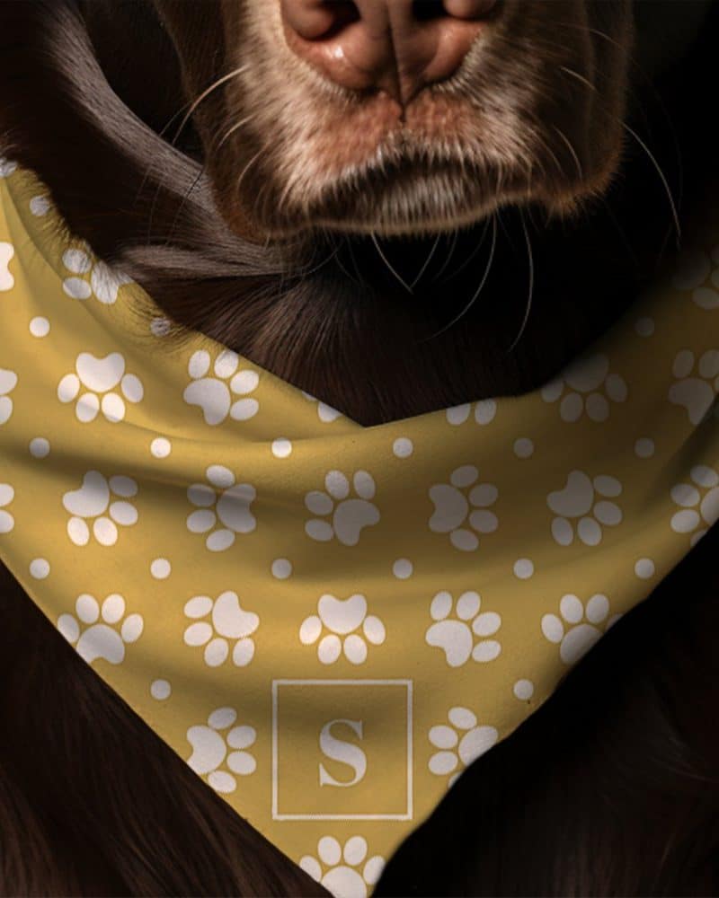 Brown dog wearing a mustard yellow bandana with white paw prints and a small white square containing the letter S.