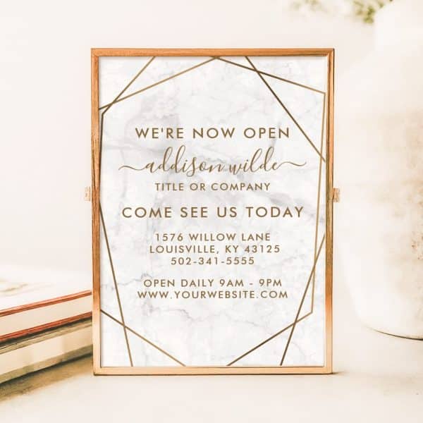 A Rose Gold Framed Sign Announcing The Grand Opening Of Addison Wilde, With The Address, Phone Number, And Website.