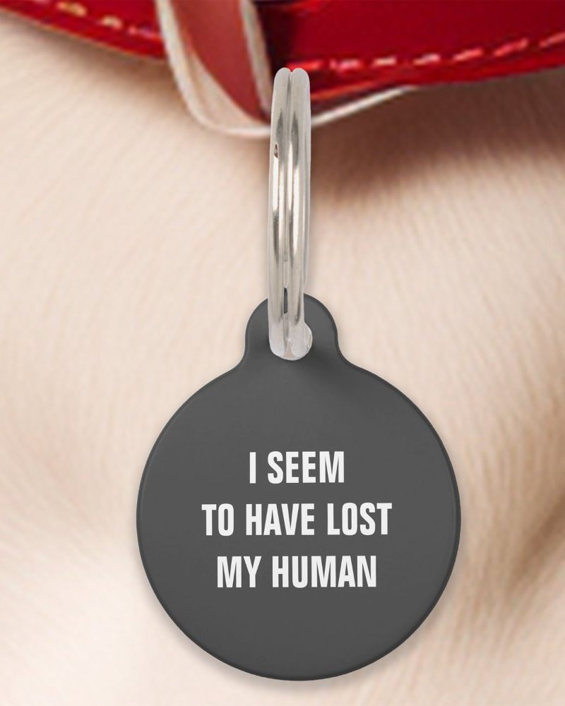 Dark gray circular pet ID tag with the text I seem to have lost my human.