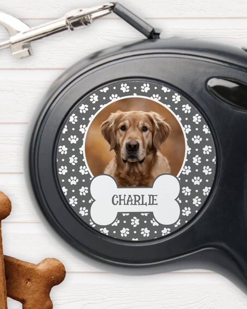 Personalized retractable dog leash with a photo of a Golden Retriever named Charlie.
