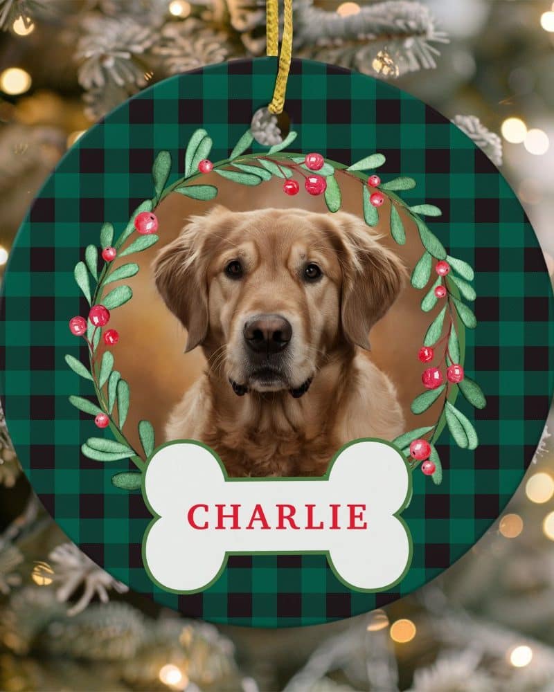 Round Christmas ornament featuring a Golden Retriever within a green and black plaid design and a holly wreath. The dog's name, Charlie, is on a bone-shaped tag.