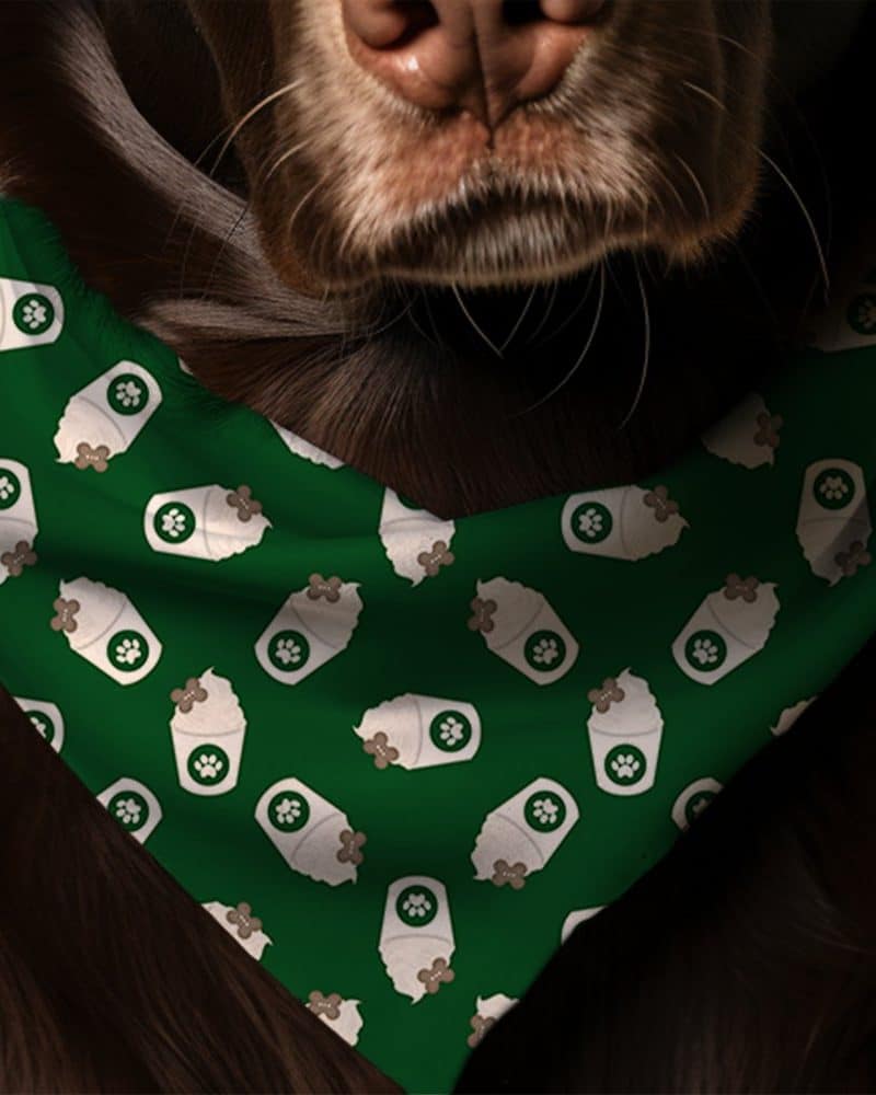 Brown dog wearing a green bandana with a repeating pattern of white cups and paw prints.