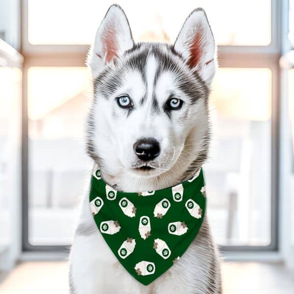 A Siberian Husky Puppy Wearing A Dark Green Bandana With A Coffee Cup Pattern.