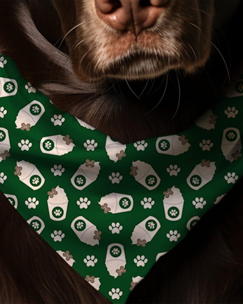 Brown dog wearing a green bandana patterned with paw prints and dog treat cups.