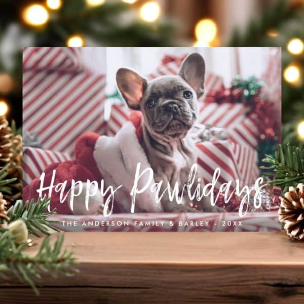 Christmas Card Featuring A French Bulldog Puppy Nestled In A Santa Suit Among Presents. Happy Pawlidays Is Written Across The Image.