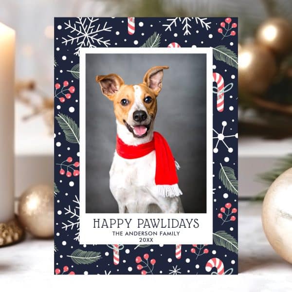 Christmas Card Featuring A Jack Russell Terrier Wearing A Red Scarf.