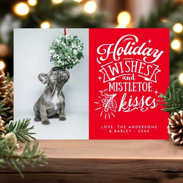 A Christmas Card Featuring A French Bulldog Puppy Looking Up At A Mistletoe Ball. The Card'S Red Background Displays The Text Holiday Wishes And Mistletoe Kisses.