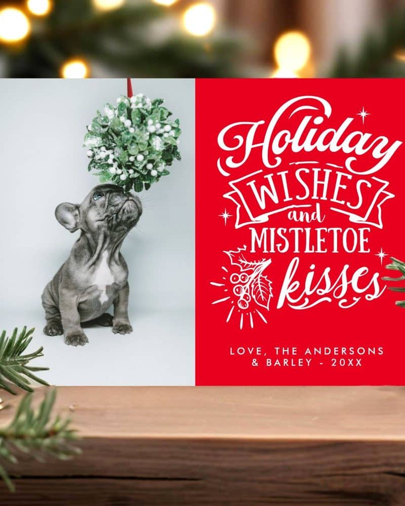 A Christmas card featuring a French bulldog puppy looking up at a mistletoe ball. The card's red background displays the text Holiday Wishes and Mistletoe Kisses.