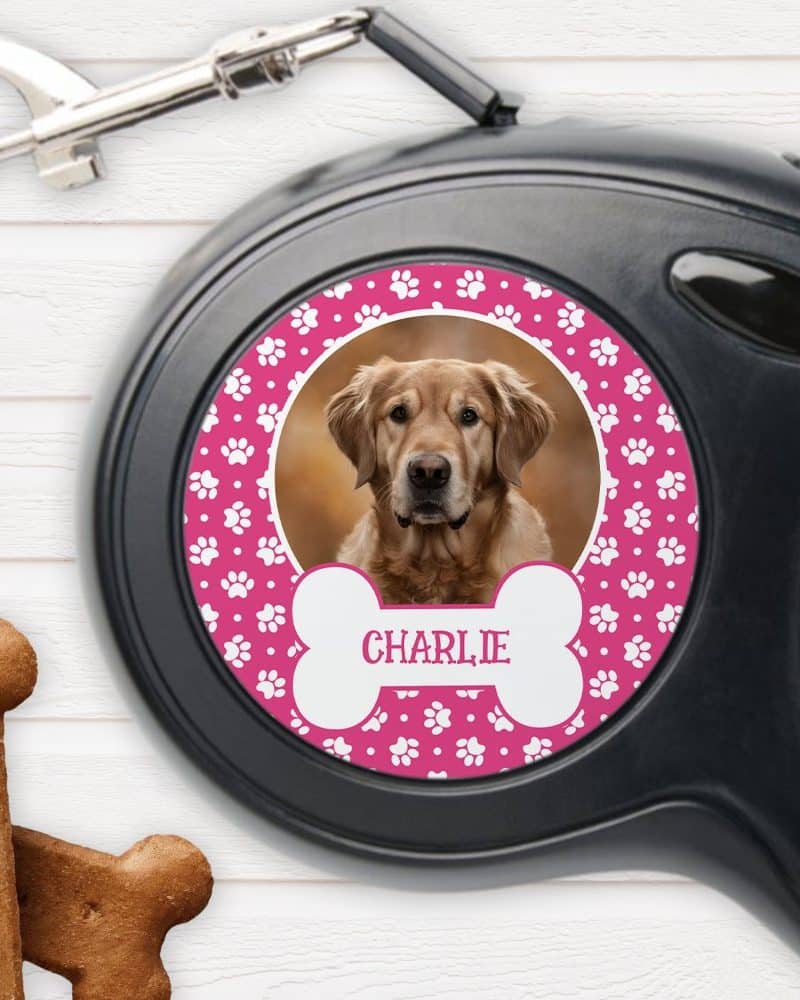 Pink dog leash with a photo of a golden retriever and the name Charlie.