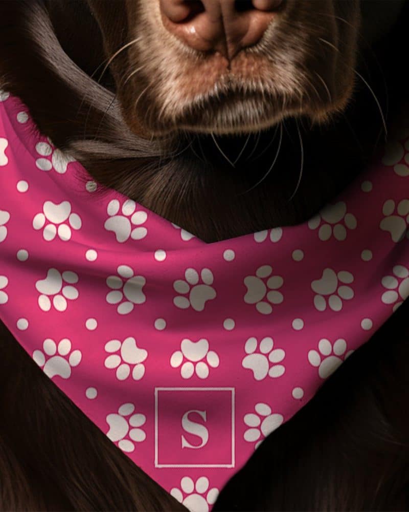 Brown dog wearing a pink bandana with white paw prints and a letter S.