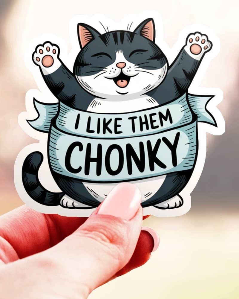 A sticker of a happy, chubby tuxedo cat with a banner that reads I like them chonky.