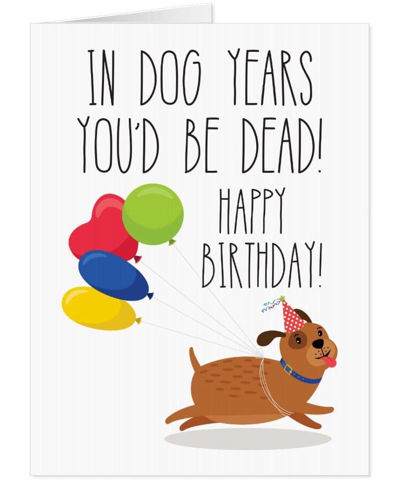 Birthday card featuring a cartoon dog wearing a party hat and flying with colorful balloons. Text reads: In dog years you'd be dead! Happy Birthday!
