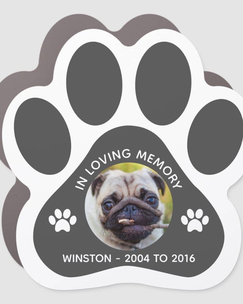 Paw print shaped memorial sticker with a photo of a pug named Winston, who lived from 2004 to 2016.