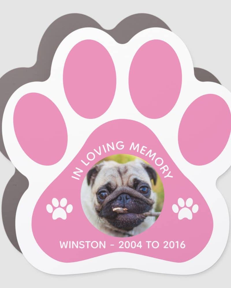 Pink paw print memorial sticker with a photo of a pug named Winston, who lived from 2004 to 2016.