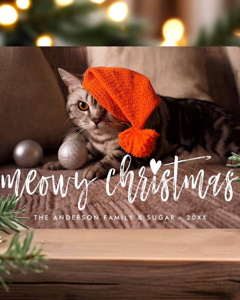 Christmas card featuring a grey tabby cat wearing a crocheted orange Santa hat.