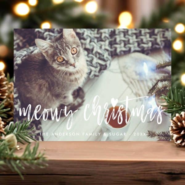 Christmas Card Featuring A Gray Tabby Kitten Looking Directly At The Camera. The Text &Quot;Meowy Christmas&Quot; Is Overlaid On The Image.