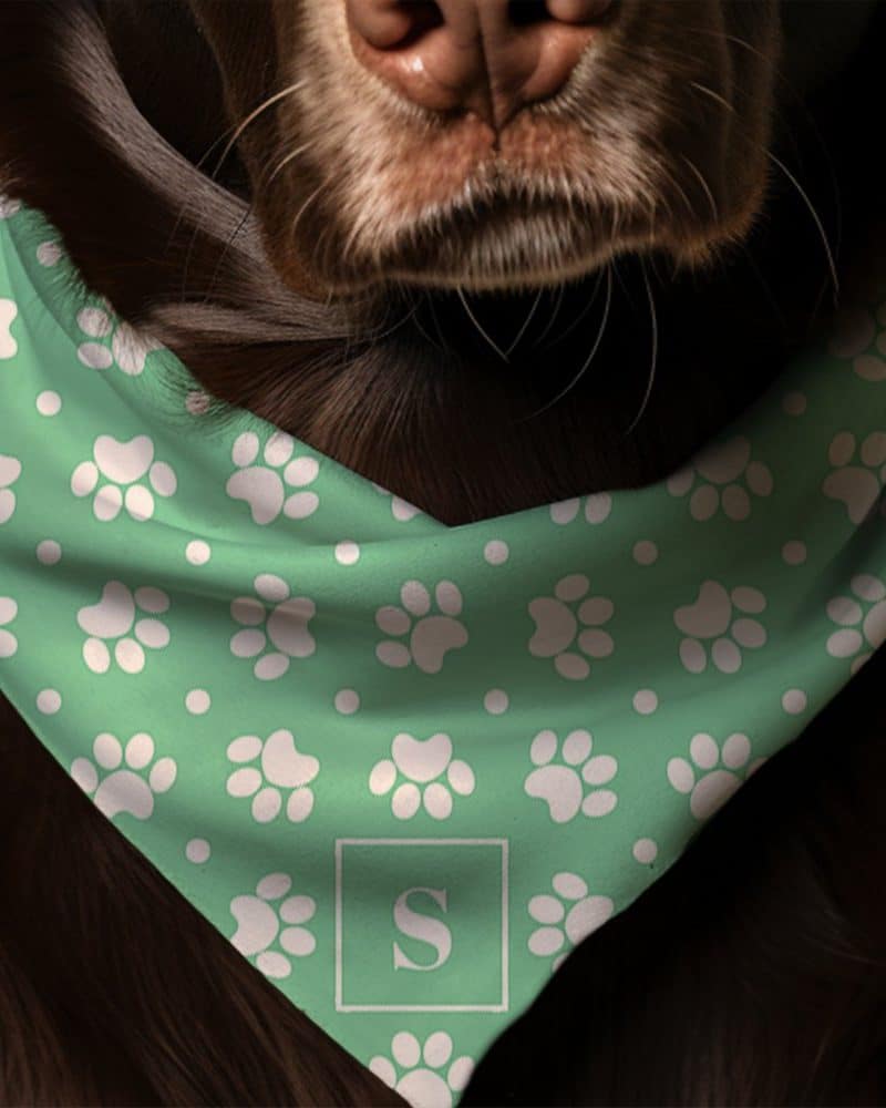 Brown dog wearing a light green bandana with white paw prints and a white letter S.