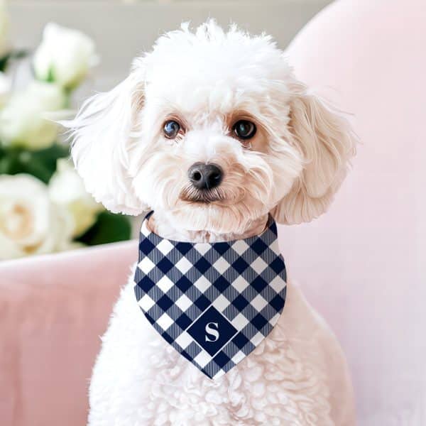 White Fluffy Dog Wearing A Navy And White Gingham Bandana With A Dark Blue S.