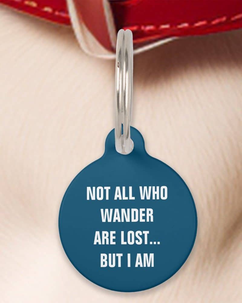 Round dark blue pet ID tag with white text reading Not All Who Wander Are Lost... But I Am. The tag is attached to a silver ring.
