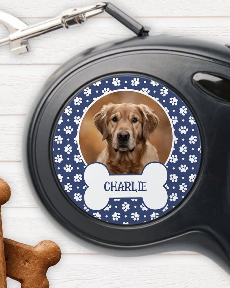 Personalized retractable dog leash featuring a golden retriever named Charlie.