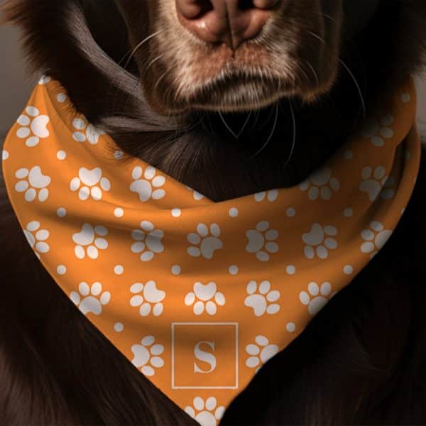 Brown Dog Wearing An Orange Bandana With White Paw Prints And A Letter S.