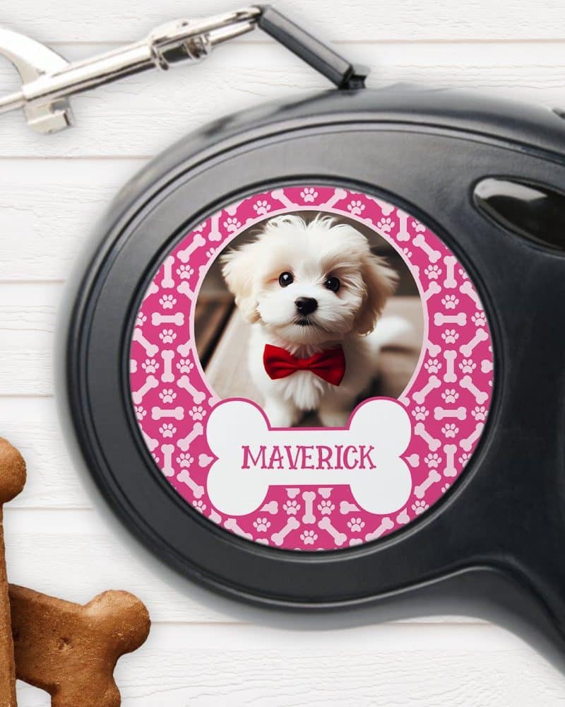 A retractable dog leash with a pink bone-patterned circle featuring a photo of a small white dog wearing a red bow tie and the name Maverick.