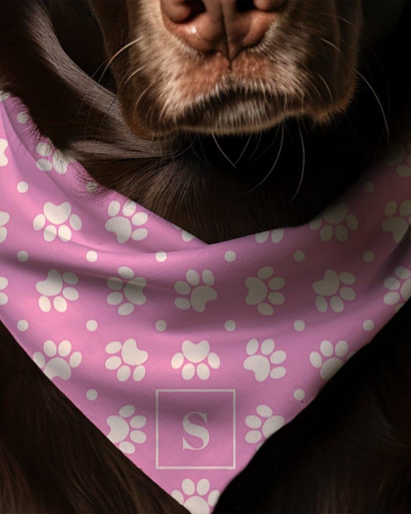 Brown dog wearing a pink bandana with white paw prints and a letter S.